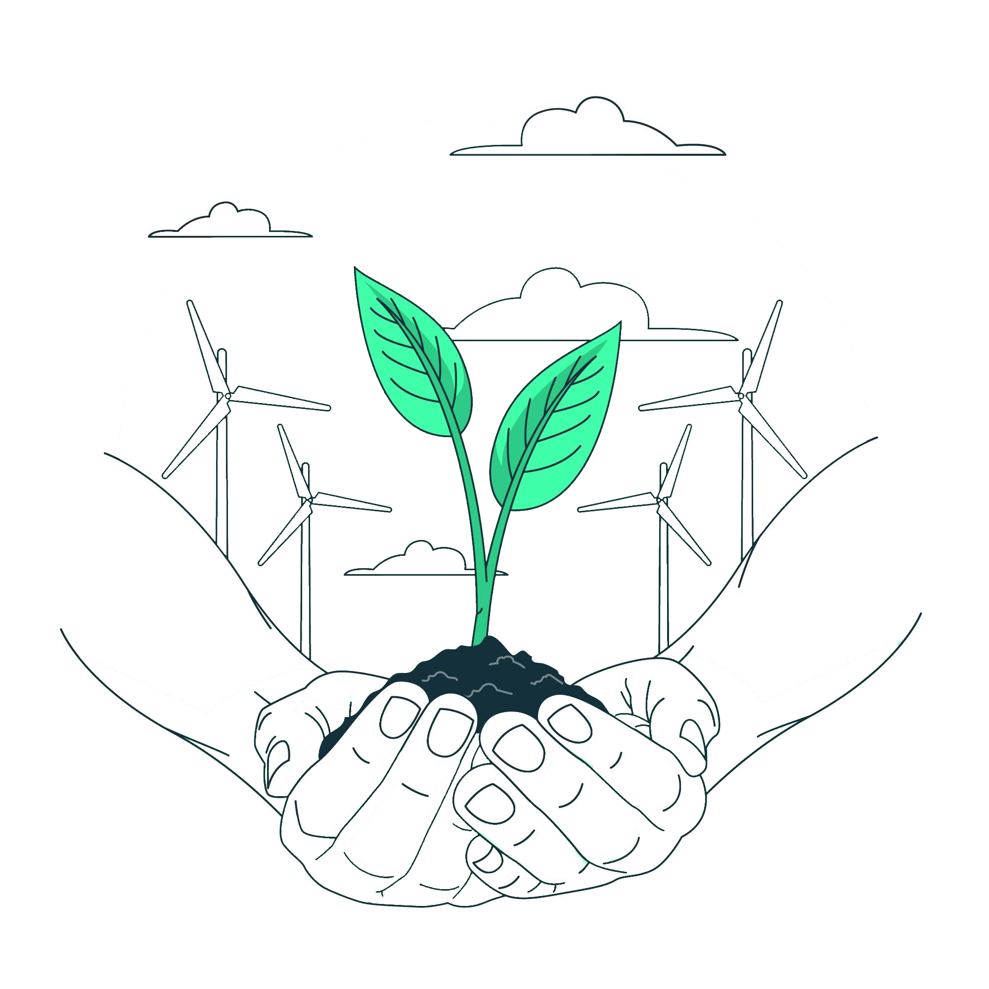 طراحی وب سایت